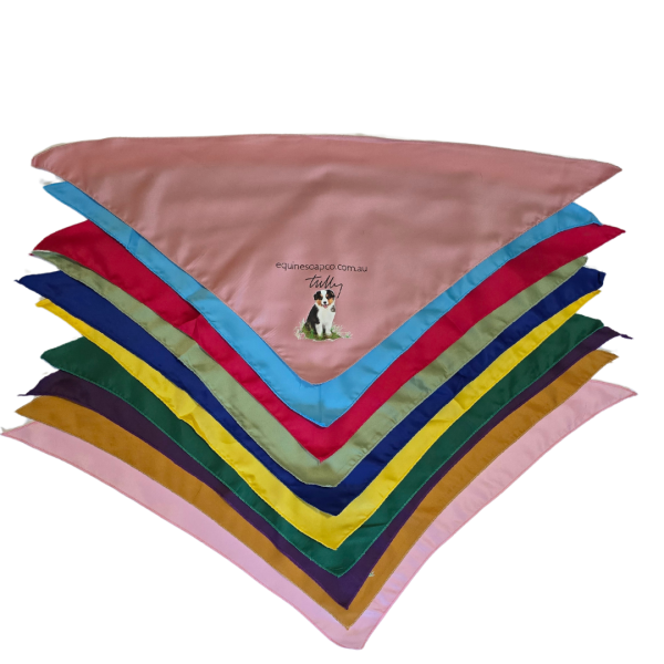 Tully's Bandanas