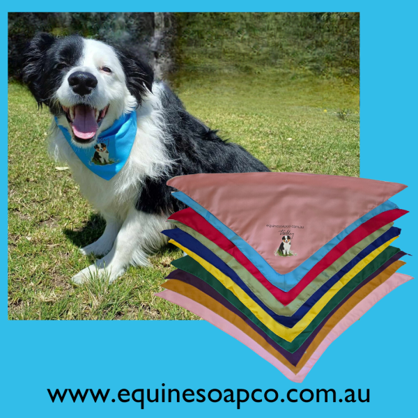 Tully's Bandanas