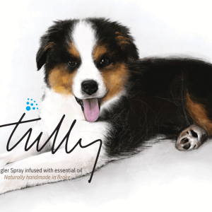 Tully's Detangler Spray
