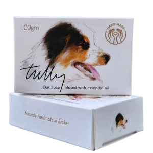 Tully's Shampoo Bar