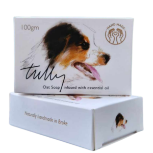 Tully's Shampoo Bar