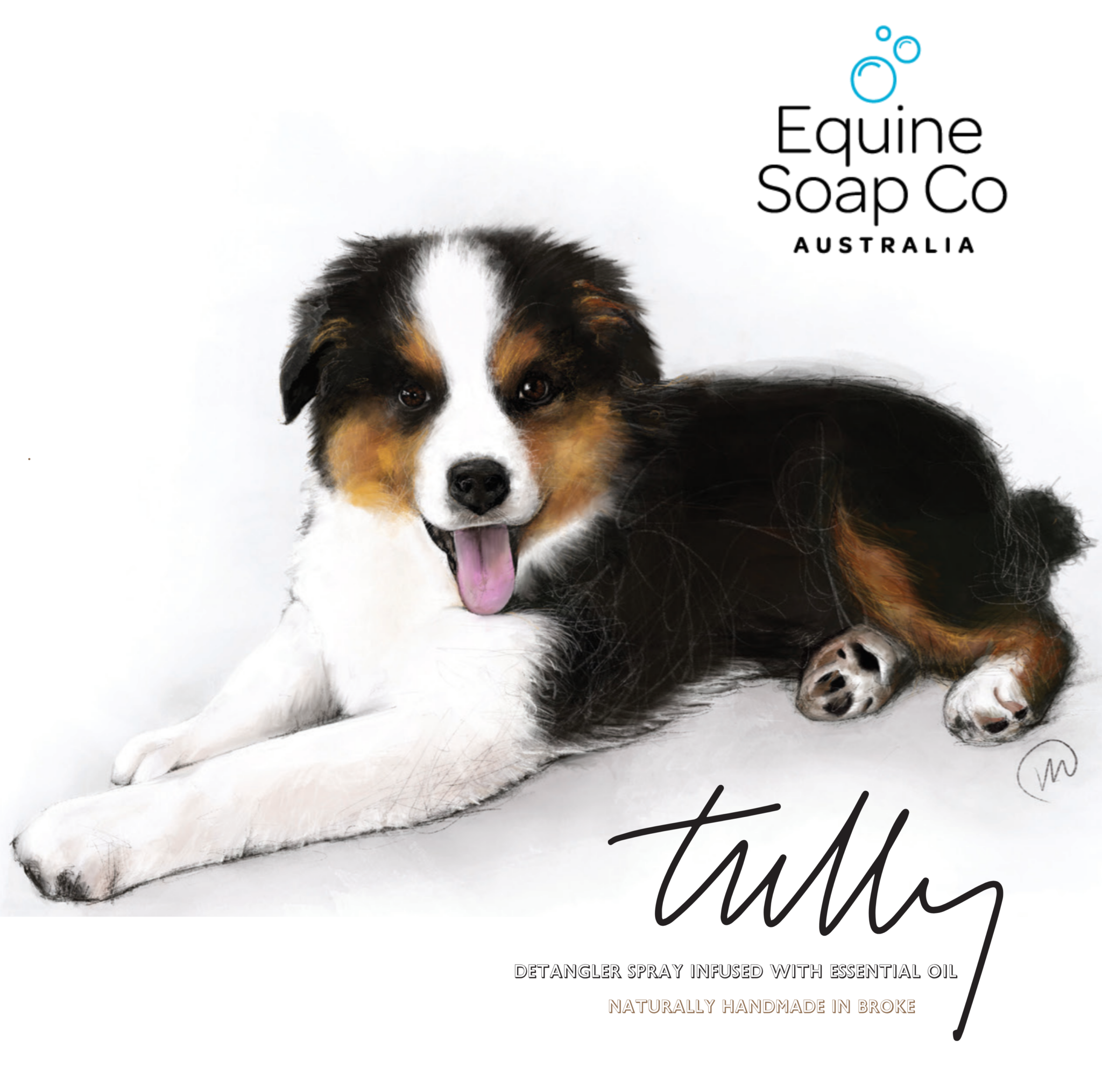 Tully's Detangler Spray