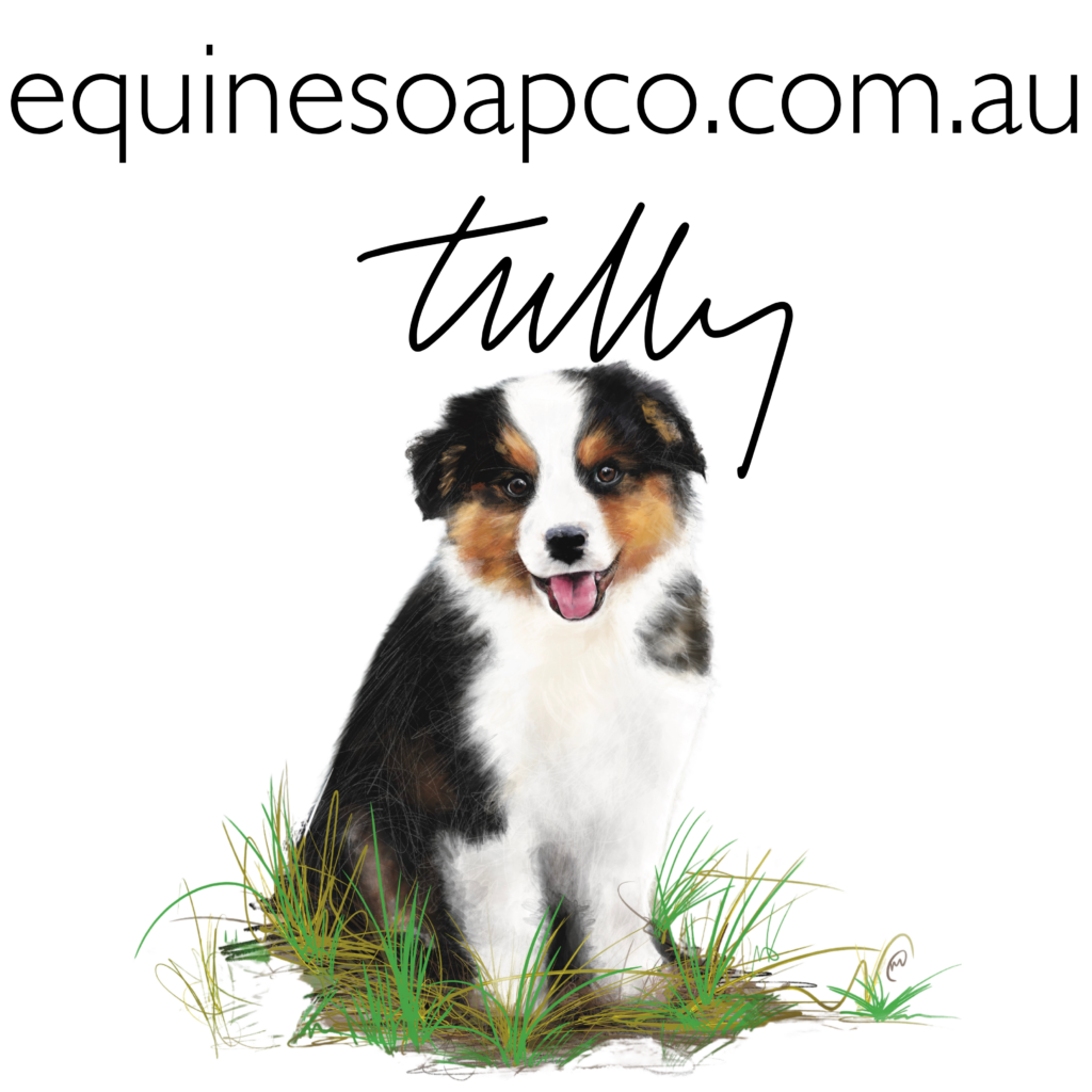 Tully Pet Bed Soak and Wash