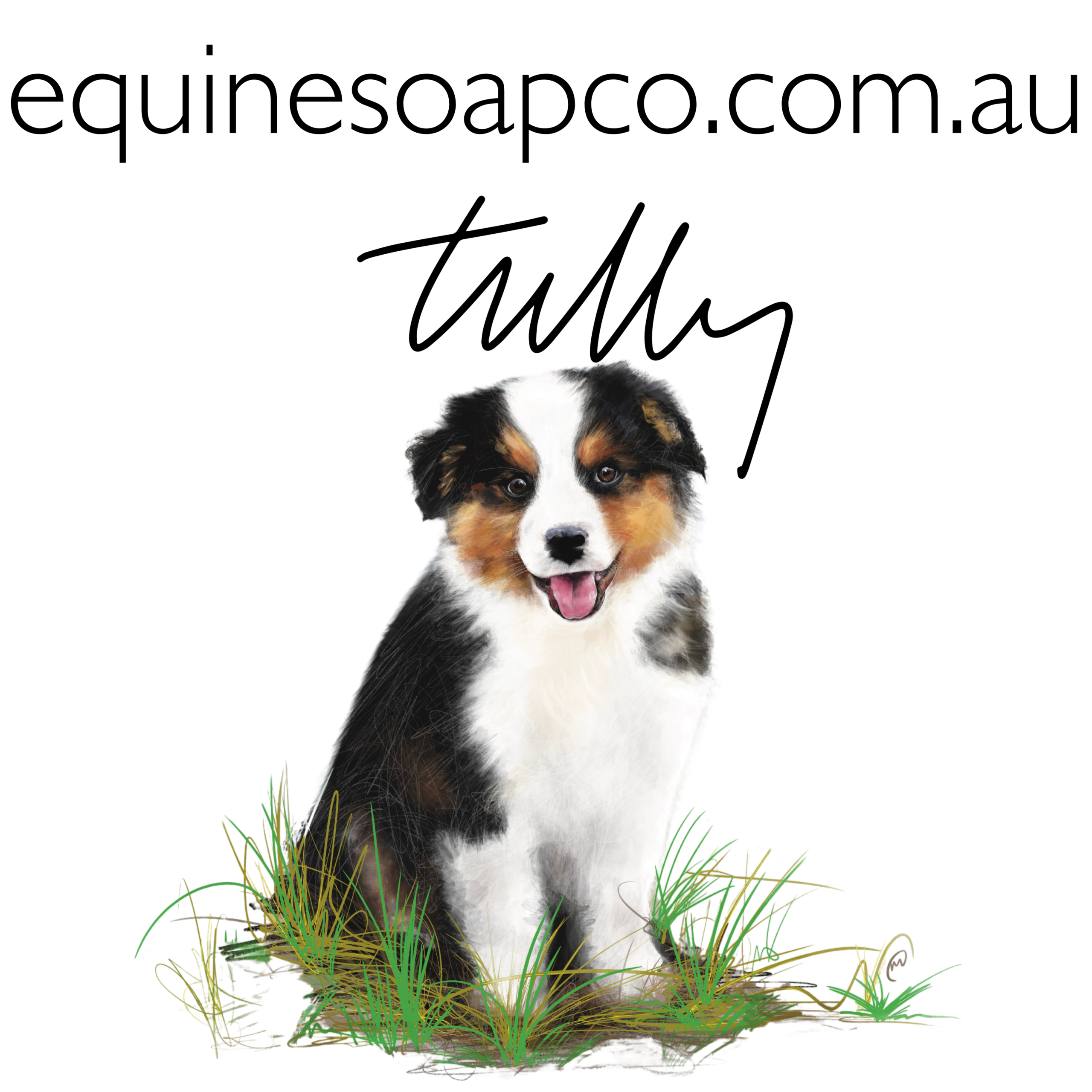 Tully Pet Bed Soak and Wash