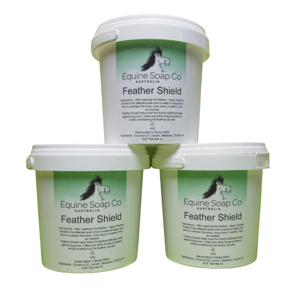 Feather Shield