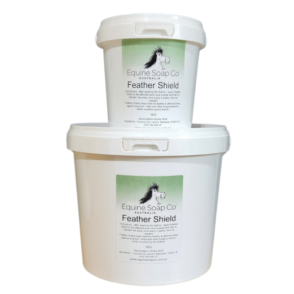 Feather Shield