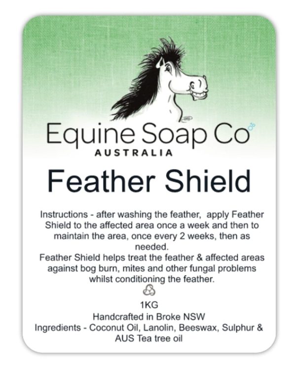 Feather Shield - Image 3