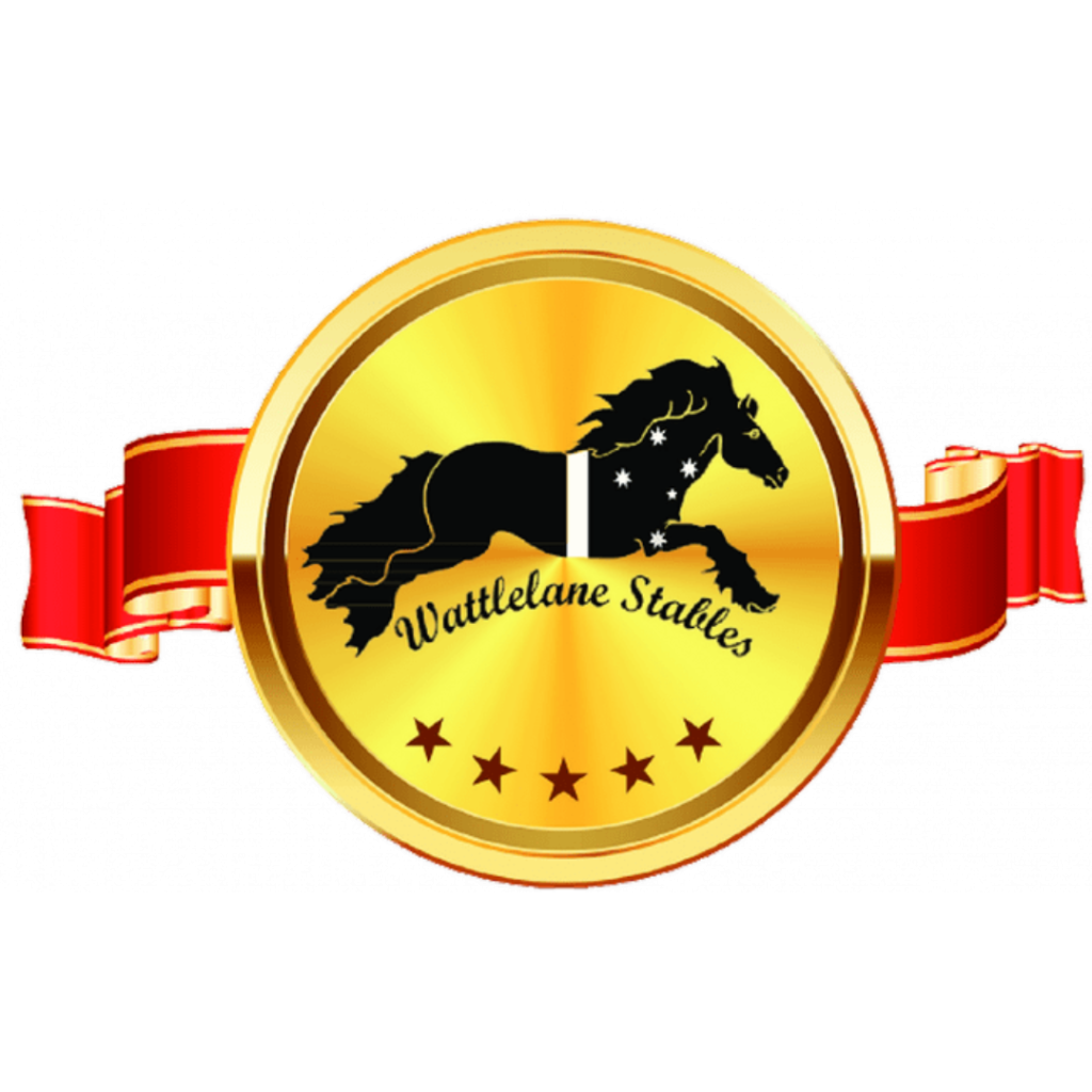 Equine Soap Co is teaming up with Wattlelane Stables to offer some of their amazing products though our webpage and at events we attend.